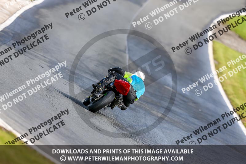 Oulton Park 14th March 2020;PJ Motorsport Photography 2020;anglesey;brands hatch;cadwell park;croft;donington park;enduro digital images;event digital images;eventdigitalimages;mallory;no limits;oulton park;peter wileman photography;racing digital images;silverstone;snetterton;trackday digital images;trackday photos;vmcc banbury run;welsh 2 day enduro